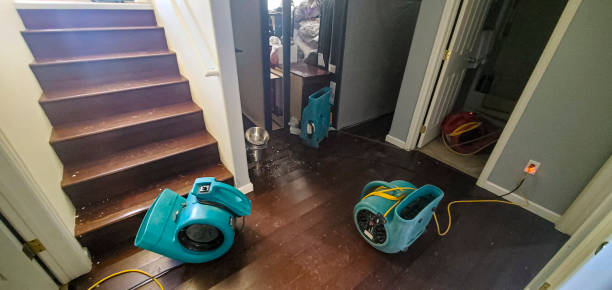 Best Water damage cleanup near me  in Evendale, OH