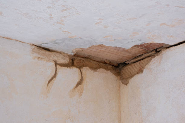 Best Emergency water damage restoration  in Evendale, OH