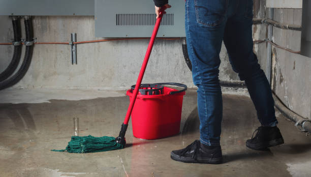 Best Basement water damage restoration  in Evendale, OH