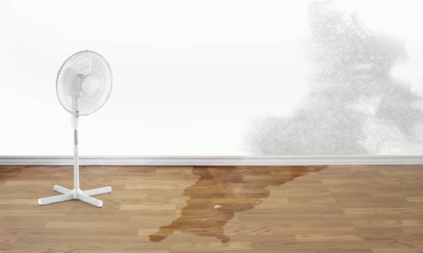 Best Water damage restoration near me  in Evendale, OH