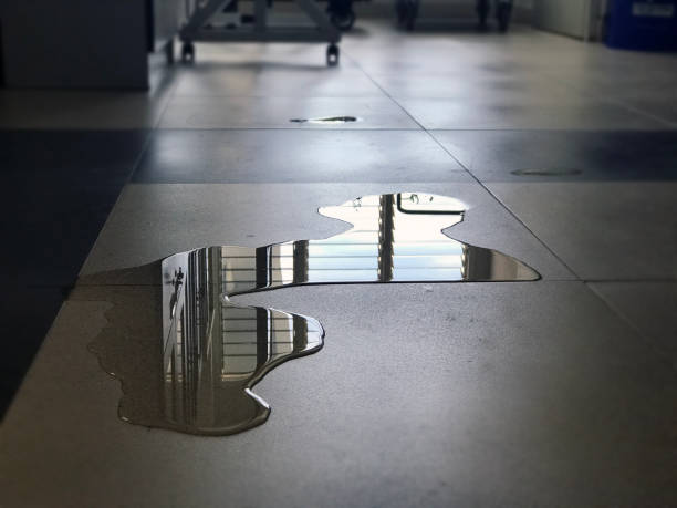 Best Professional water damage repair  in Evendale, OH