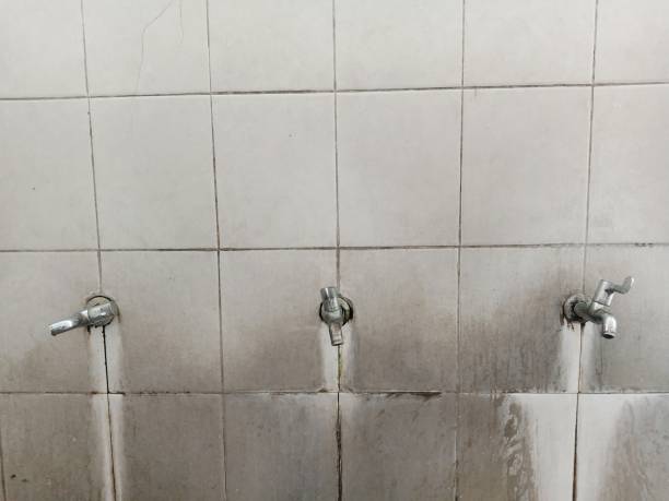 Best 24/7 water damage repair  in Evendale, OH